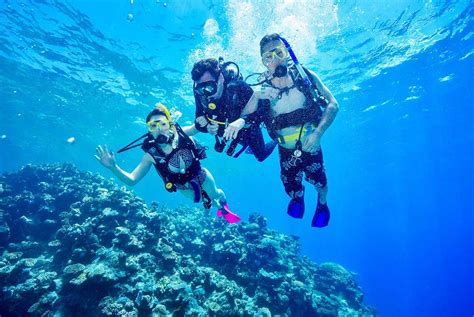 Great Barrier Reef Diving Tours