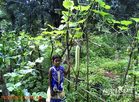Amrita Education Center at Goa Harvests Kitchen Garden - Amrita Vishwa
