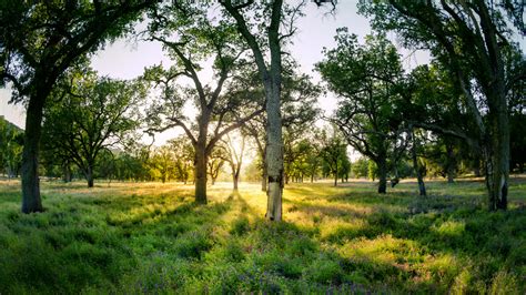 Wallpaper Trey Ratcliff K Fotografi California X Gtl