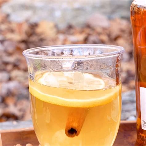 Traditional Hot Toddy Drink Remedy Tastelist Au