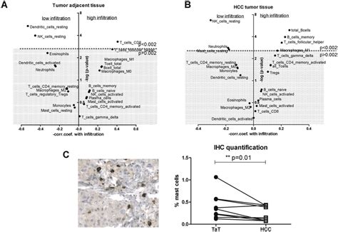 Correlations Of Immune Cells With Cibersort P Values In Hcc Tumor And