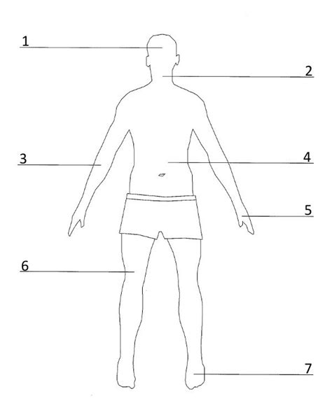 Körperteile Kapitel 3 Diagram Quizlet