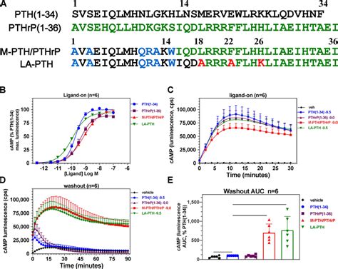 Sequence And Functional Comparison Of MPTH PTHrP And LAPTH In A Rat