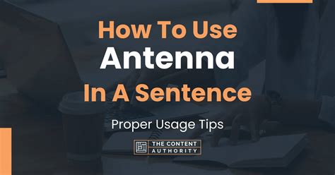 Antennae In A Simple Sentence At John Gaffney Blog