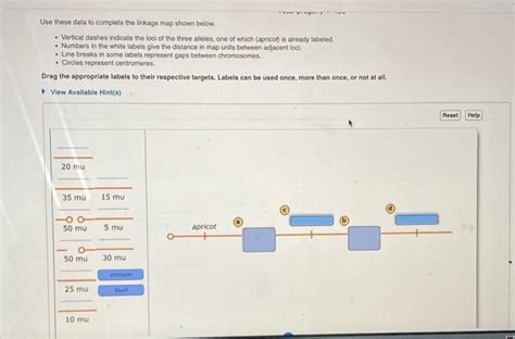 Solved You Examine 450 Progeny From The Cross In Part C And Chegg