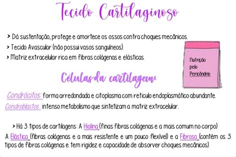 Mapas Mentais Sobre Tecido Cartilaginoso Study Maps