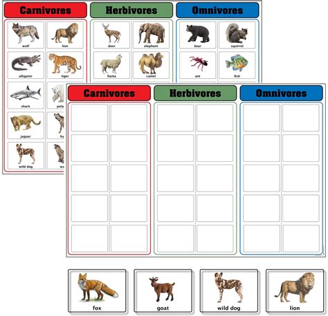 carnivores herbivores  omnivores charts  cards alisons