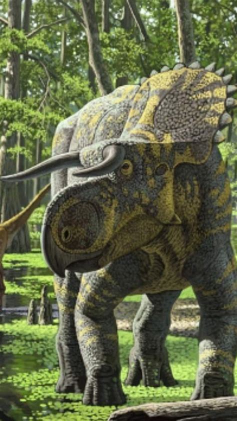 Nasutoceratops Wiki Amino Paleontolog A Amino