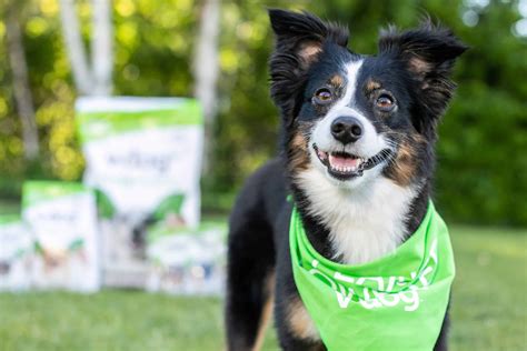 V-dog Selected as Best Vegan Dog Food in VegNews' 20th Annual Veggie
