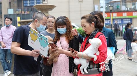 重庆养犬新规6月1日起执行 遛狗不拴绳、犬只随地便溺不清理或被罚款重庆市人民政府网