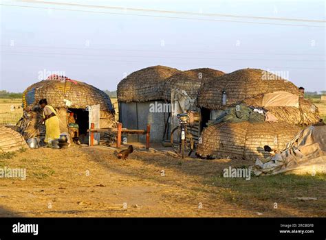 An Old Woman Cooking In Front Of Her Hut Near Vadalur Neyveli Tamil