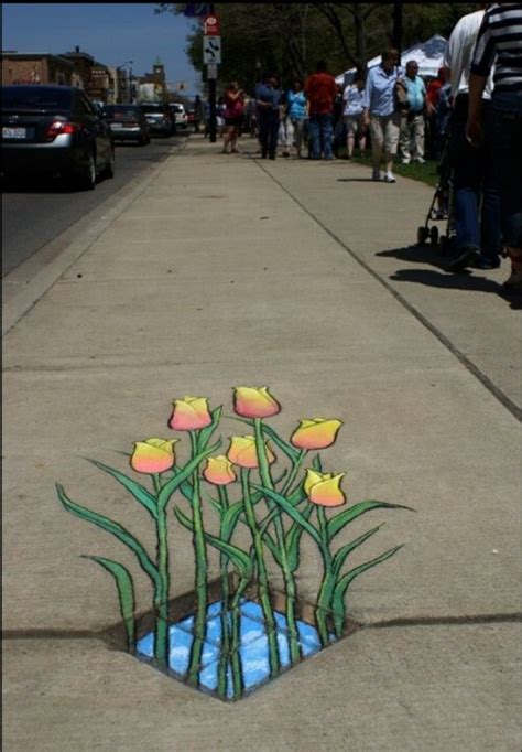 22 best Amazing 3D Sidewalk Drawing images on Pinterest | 3d chalk art ...