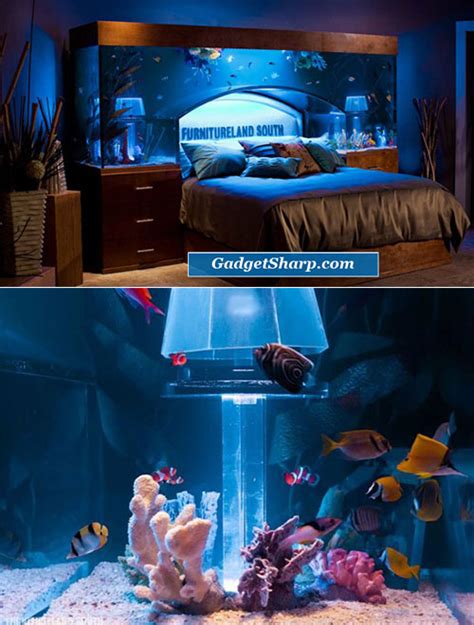 9 Cool Aquariums For Fish Lovers Gadget Sharp