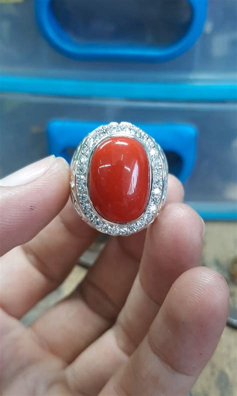 Red Coral Marjan Everything Else On Carousell