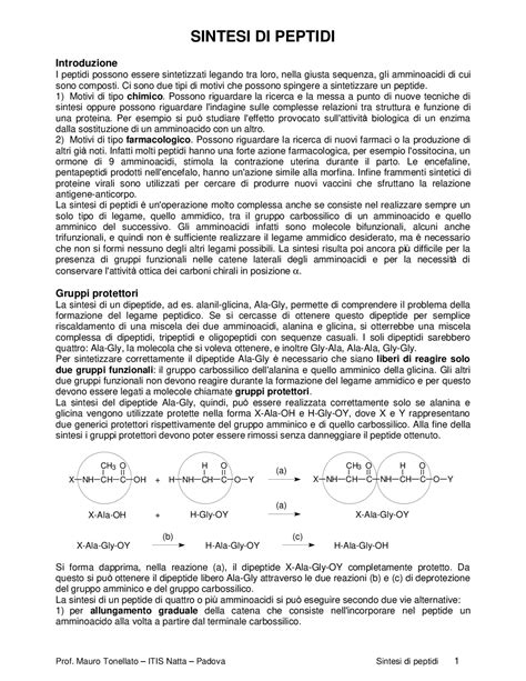 Peptidi Fase Solida Appunti Chimica Docsity