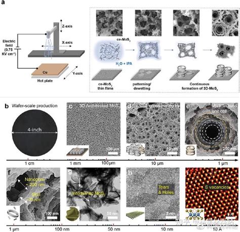 Nat Commun：自组装三维多层级mos2泡沫结构助力高倍率及电化学稳定的锂离子电池负极 知乎