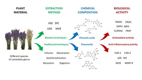 Phytochemical Profiling Antioxidant And Anti Inflammatory Activity Of