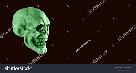 Real Skull Human Head Bone Dead Stock Photo 2209226335 Shutterstock