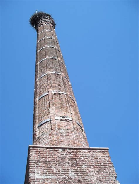 Free Images Tree Cloud Structure Monument Statue Column Tower