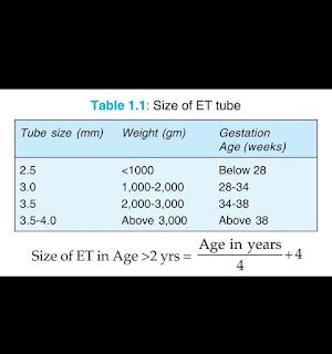 Histology Slides Database: ett sizes