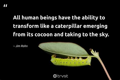 31 Caterpillar Quotes about Transformation And More (2024)