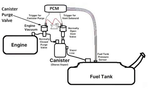 Where Is The Canister Purge Valve Located In The Garage With