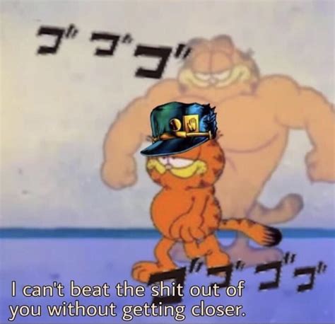 If Garfield isn’t your favorite jojo you’re wrong : r/ShitPostCrusaders