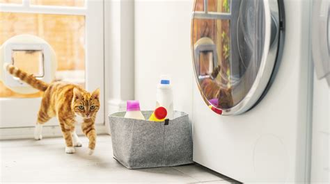 how to recycle at home