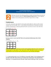 Understanding Punnett Squares CoDominance And Sex Linked Course Hero