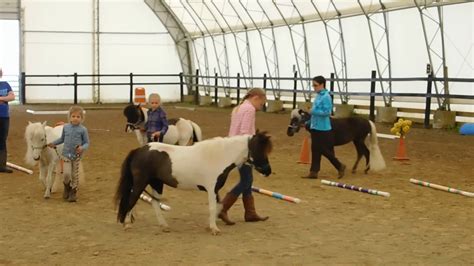 Mini Horse Event Musical Stalls Youtube