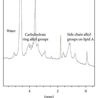 H Nmr Spectra Of A Lps Isolated From P Aeruginosa B In