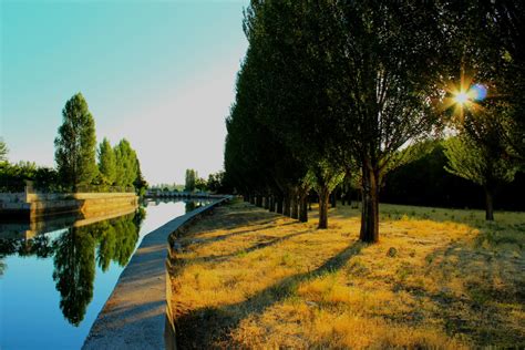 Free Images Landscape Tree Nature Grass Sunlight Morning Leaf