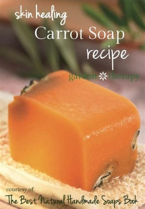 Anti Aging And Skin Repair Carrot Soap Recipe Unleash The Magical