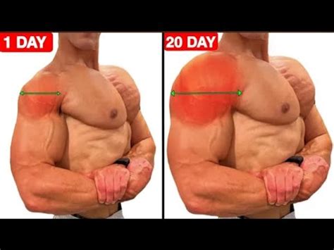 Exercises That Make Shoulder Grow Fast Shoulder Solution Workout