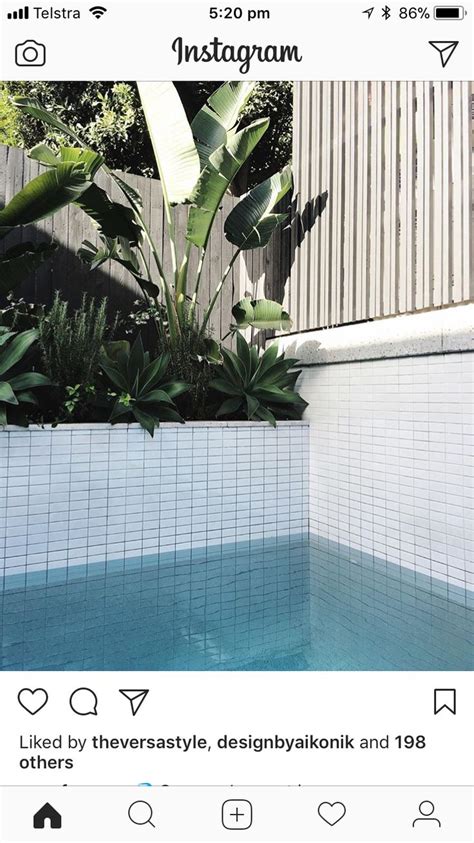 an instagram photo of a pool with plants in the middle and on the side