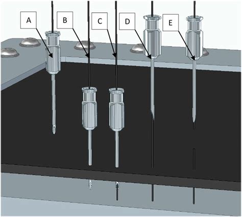 Representation of pinning stages. | Download Scientific Diagram