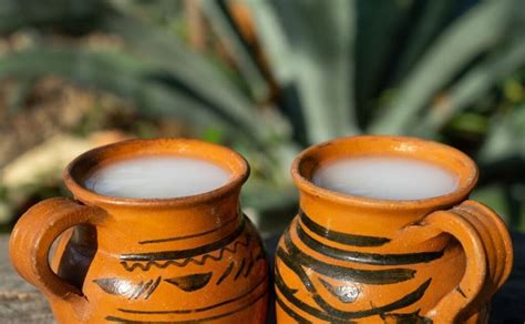 El Pulque La Bebida Ancestral De Los Dioses Seg N La Unam Gu El