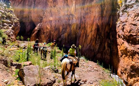 Andes Travesías Cabalgata con Campamento por la Cordillera de Los Andes