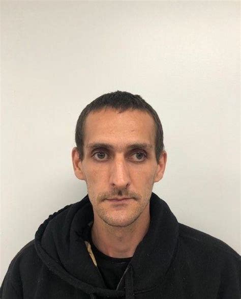 David Bradt Sex Offender In Schenectady NY NY