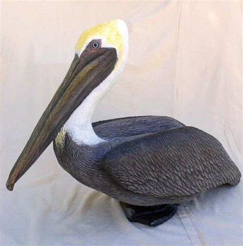 Lifesize Pelican Statue Sitting Head Up 31 Inches Long X 13w X 21h