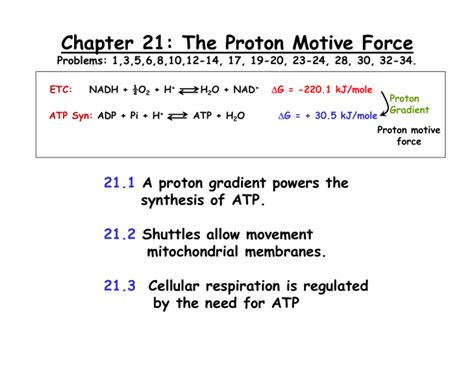 Chapter 21: The Proton Motive Force