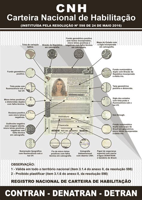 Carteira Nacional de Habilitação terá cor nova a partir de janeiro