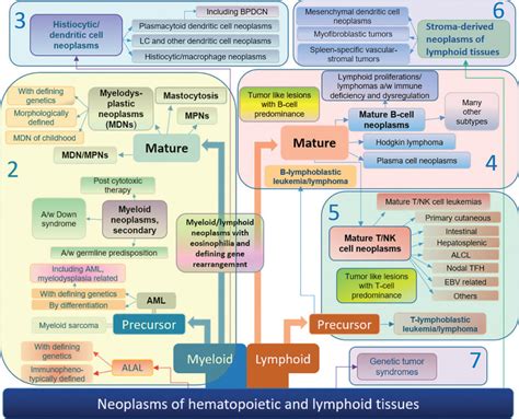 The 5th Edition Of The World Health Organization Classification Of