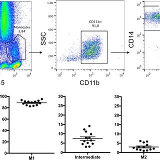 Pdf Changes In Circulating Monocyte Subsets Cd Expression And