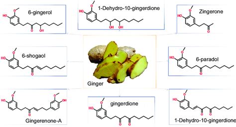 Ginger Rhizome And Chemical Structure Of Some Of Its Bioactive