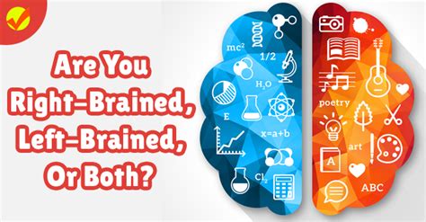 Are You Right Brained Left Brained Or Both Quiz Social