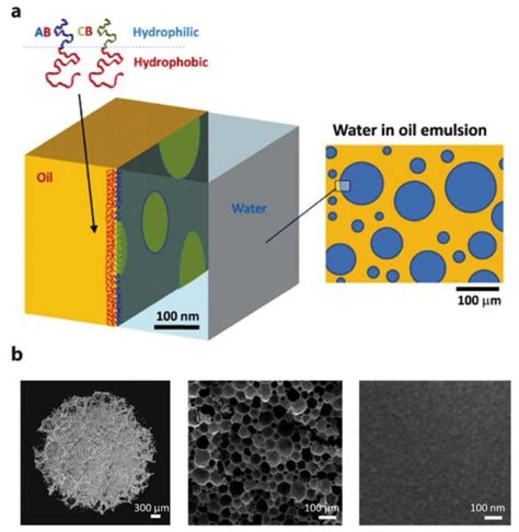 Cell Instructive Microporous Scaffolds Through Interface Engineering