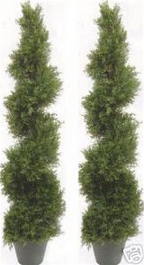 Amazon Two 5 Foot 4 Inch Artificial Cypress Spiral Trees Potted