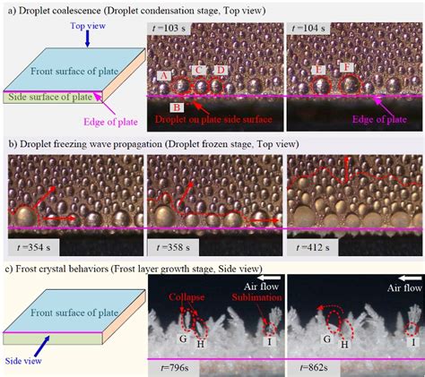 Cold Plate Temperature Effect On Droplet And Frost Crystal Behaviors At