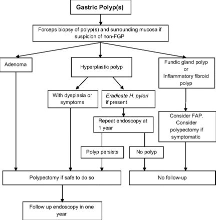 The Management Of Gastric Polyps Gut